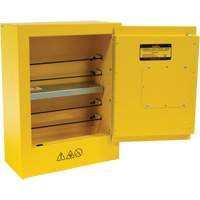 Armoire de s&eacute;curit&eacute; miniature pour produits inflammables, 2 gal., 1 Porte(s), 17" La x 22" h x 8" p Pronet Distribution