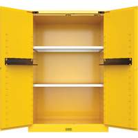 Armoire de s&eacute;curit&eacute; pour produits inflammables Utili-Guard+, 45 gal., 2 Porte(s), 43" La x 65" h x 22" p Pronet Distribution