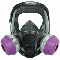 Respirateur &agrave; masque complet North s&eacute;rie 7600, Silicone, Grand/Moyen/Moyen/grand Pronet Distribution