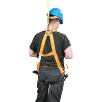 Miller&reg; Titan Contractor's Harnesses, CSA Certified, Class AP, 400 lbs. Cap. Pronet Distribution