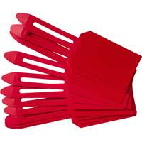 Blank Plastic Lock-On Tags, Plastic, 3-1/4" W x 5-4/5" H, Blank Pronet Distribution