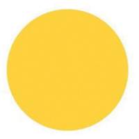 Round Write-On Labels, Circle, 1.5" L x 1.5" W, Yellow Pronet Distribution