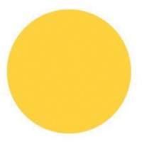Round Write-On Labels, Circle, 3" L x 3" W, Yellow Pronet Distribution