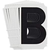 Quick-Align&reg; Individual Gothic Number and Letter Labels, B, 4" H, Black Pronet Distribution