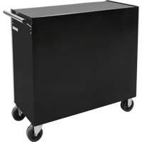 Industrial Tool Cart, 11 Drawers, 41" W x 18-3/4" D x 39-1/3" H, Black Pronet Distribution