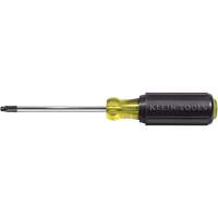 Tournevis Klein a/manche caoutchout&eacute;-Tournevis Torx &agrave; tige ronde Pronet Distribution