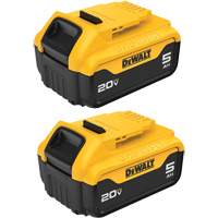 Bloc-piles Max XR Premium, Lithium-ion, 20 V, 5 A Pronet Distribution