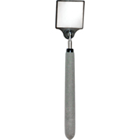 Acrylic Inspection Mirror, Square, 2" L x 2" W, Telescopic Pronet Distribution