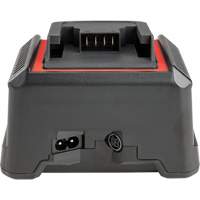 2.5 Ah & 5.0 Ah Battery Charger, 120 V, Lithium-Ion Pronet Distribution
