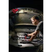 M12 Rover Mounting Flood Light, LED, 250 W, 1000 Lumens Pronet Distribution