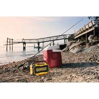 Haut-parleur Max Bluetooth pour chantier (outil seulement), Lithium-ion, 12 V/20 V Pronet Distribution