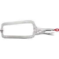 Torque Lock Locking Pliers with Swivel Jaws, 18" Length, C-Clamp Pronet Distribution