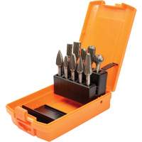 Jeu de fraises au carbure DC, 10 morceaux Pronet Distribution