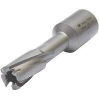 Core Cut Annular Cutter with Weldon Shank, 12 mm Diameter, Carbide, 30 mm Depth of Cut, 3/4" Shank Pronet Distribution