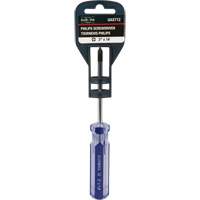 Tournevis Philips bleu transparent avec bandes, #1, Prise Plastique Pronet Distribution