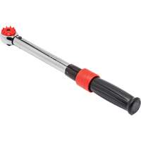 Cl&eacute; dynamom&eacute;trique &agrave; microm&egrave;tre, &agrave; cadran, Entraînement 3/8" carr&eacute;, 50 - 250 lb-po Pronet Distribution