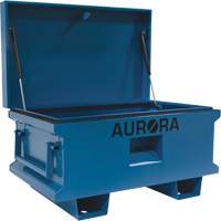 Coffre &agrave; outils de chantier, 33" x 20-3/10" x 18-3/10", Acier, Bleu Pronet Distribution