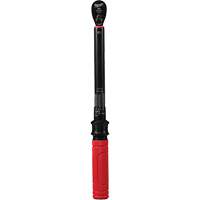 Cl&eacute; dynamom&eacute;trique, &agrave; cliquer, Entraînement 3/8" carr&eacute;, 20 - 100 lb-po/27,1 - 135,6 Nm Pronet Distribution