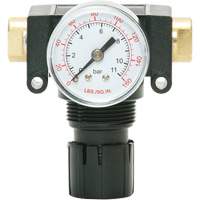 D&eacute;tendeur &agrave; piston en ac&eacute;tal MODULAIR 200, 1/4" NPT, PSI max. de 150 psi, Canalisation/Modulaire Pronet Distribution