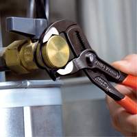 Pinces pour pompe &agrave; eau Cobra&reg;, 12" Pronet Distribution