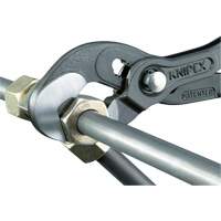 Pince Raptor, 10" Pronet Distribution