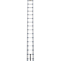 Telescopic Ladder, 3' - 15.5', Aluminum, 250 lbs. Capacity, Type 1 Pronet Distribution