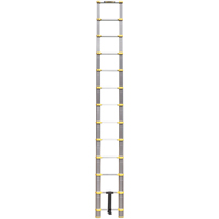 Telescopic Ladder, 3' - 12', Aluminum, 250 lbs. Capacity, Type 1 Pronet Distribution
