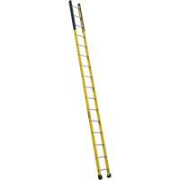 Single Manhole Ladder, 16', Fibreglass, 375 lbs., CSA Grade 1AA Pronet Distribution