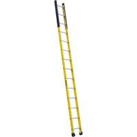 Single Manhole Ladder, 14', Fibreglass, 375 lbs., CSA Grade 1AA Pronet Distribution