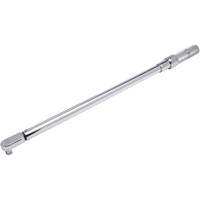 Cl&eacute; dynamom&eacute;trique microm&eacute;trique &agrave; t&ecirc;te fixe, &agrave; cliquer, Entraînement 1/2" carr&eacute;, 50-250 lb-pi Pronet Distribution