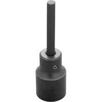 Embout &agrave; ins&eacute;rer, Hexagonale, 6 mm x 3-1/4" lo, Prise 1/2" Pronet Distribution