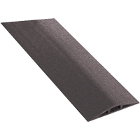 Couvre-c&acirc;bles FloorTrak, 5' x 3" x 0,75" Pronet Distribution