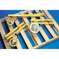 Lampes pour les quais, Bras 60", Ampoule Incandescente, M&eacute;tal Pronet Distribution