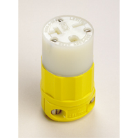 2-Pole 3-Wire Grounding Straight Blade Connector, 5-20P, Nylon Pronet Distribution