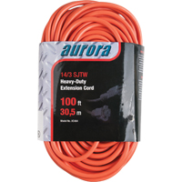 Cordon rallonge en vinyle, Ext&eacute;rieur, SJTW, AWG 14/3, 13 A, 100' Pronet Distribution