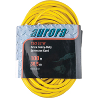 Vinyl Extension Cord, Outdoor, SJTW, 12/3 AWG, 15 A, 100' Pronet Distribution