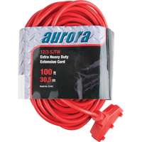 Cordon rallonge en vinyle, Ext&eacute;rieur, SJTW, AWG 12/3, 15 A, 3 prise(s), 100' Pronet Distribution