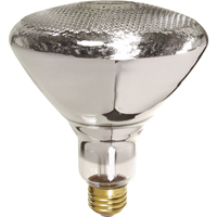 Economy Line Incandescent Lamps Pronet Distribution