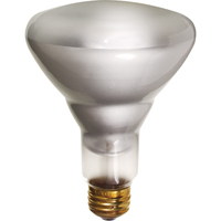 Economy Line Incandescent Lamps Pronet Distribution