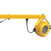 Lampes pour quais de chargement robustes, Bras 24", 300 W, Ampoule DEL, M&eacute;tal Pronet Distribution