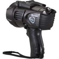 Projecteurs style pistolet Waypoint, DEL, 550 Lumens, Piles C Pronet Distribution