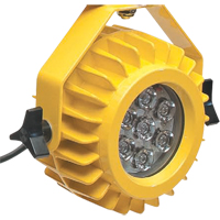 Lampe robuste DEL pour les quais - t&ecirc;te seulement Pronet Distribution