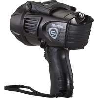 Projecteur style pistolet Waypoint, DEL, 550 Lumens, Piles C Pronet Distribution
