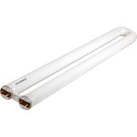 Lampes fluorescentes OCTRON CURVALUME 800, 31 W, T8 en U, 4100 K, Longueur de 22,5" Pronet Distribution