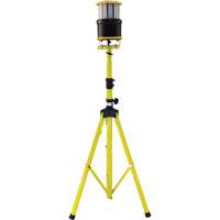Lampe de travail portative Beacon360 GO avec tr&eacute;pied, DEL, 45 W, 6000 lumens, Boîtier en Aluminium Pronet Distribution