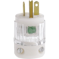 Prise de rallonge de qualit&eacute; hospitali&egrave;re, Nylon, 20 A, 125 V Pronet Distribution