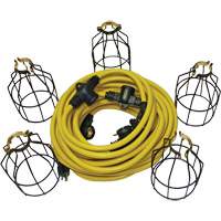 LED String Lights with Connector, 5 Lights, 50' L, Metal Housing Pronet Distribution