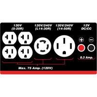 G&eacute;n&eacute;ratrice &agrave; essence/propane &agrave; d&eacute;marreur &eacute;lectrique Pronet Distribution