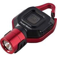 Pocket Mate&reg; USB Flashlight Pronet Distribution