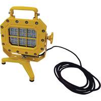 Explosion Proof Floodlight with Stand, LED, 40 W, 5600 Lumens, Aluminum Housing Pronet Distribution